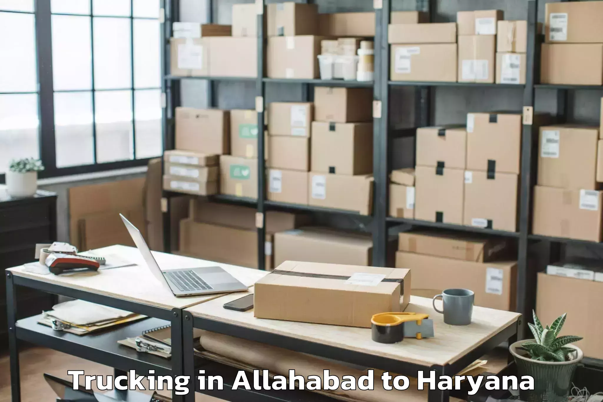 Professional Allahabad to Palwal Trucking